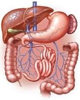 gastrointestinalni trakt