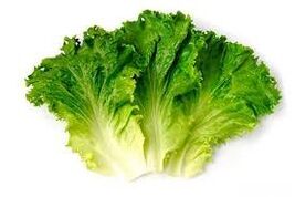 lišće zelene salate